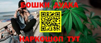 ГАЛЛЮЦИНОГЕННЫЕ ГРИБЫ Гай