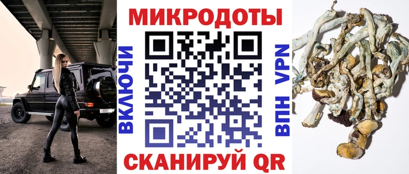 Псилоцибиновые грибы Psilocybe  hydra   Еманжелинск  наркошоп 